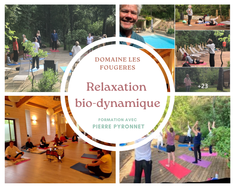 30 mai / 2 juin 2024 - Se former à la Relaxation Bio-Dynamique dans la Drôme avec Pierre Pyronnet